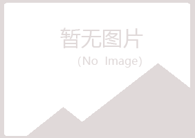 惠州惠城冰夏咨询有限公司